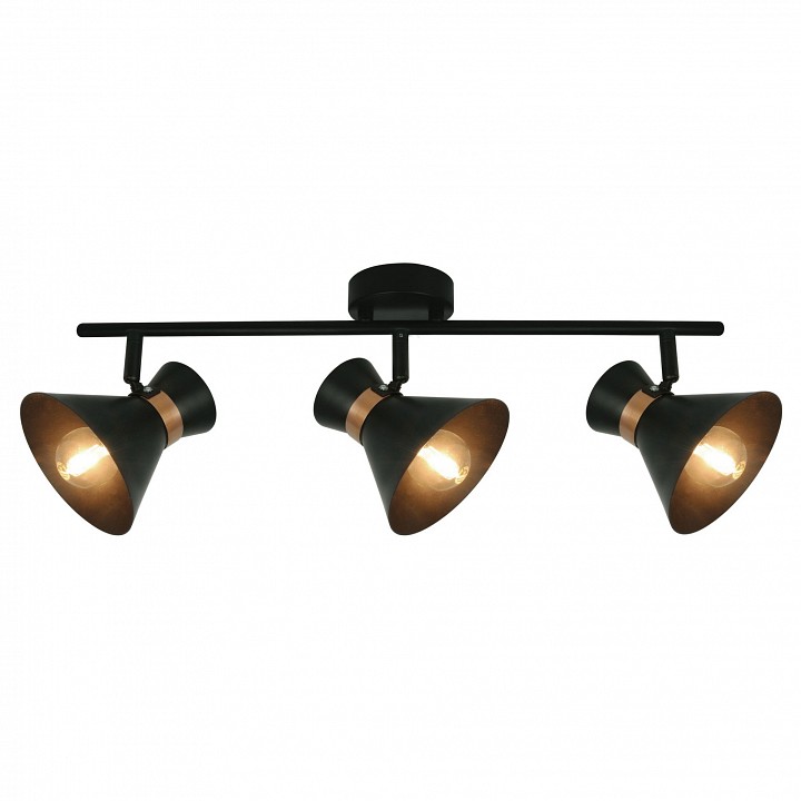 Спот Arte Lamp Baltimore A1406PL-3BK