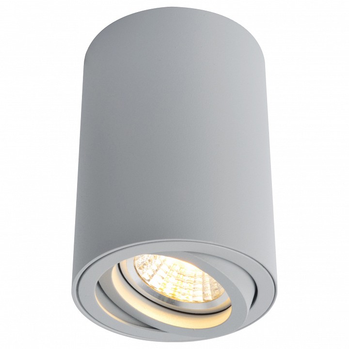 Накладной светильник Arte Lamp 1560 A1560PL-1GY