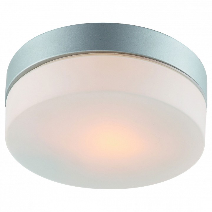 Накладной светильник Arte Lamp Aqua A3211PL-1SI