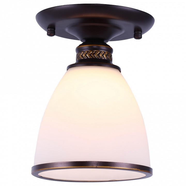 Накладной светильник Arte Lamp Bonito A9518PL-1BA