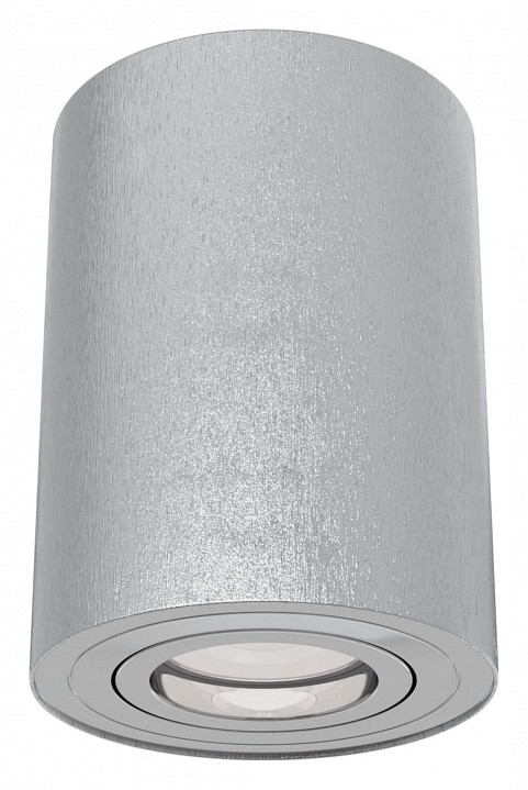 Накладной светильник Maytoni Alfa C016CL-01S